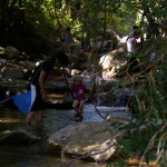 ツタのブランコ