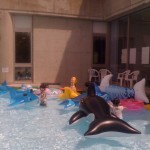 無料の浮き輪がよりどりみどり