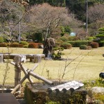 「やまもも」庭園