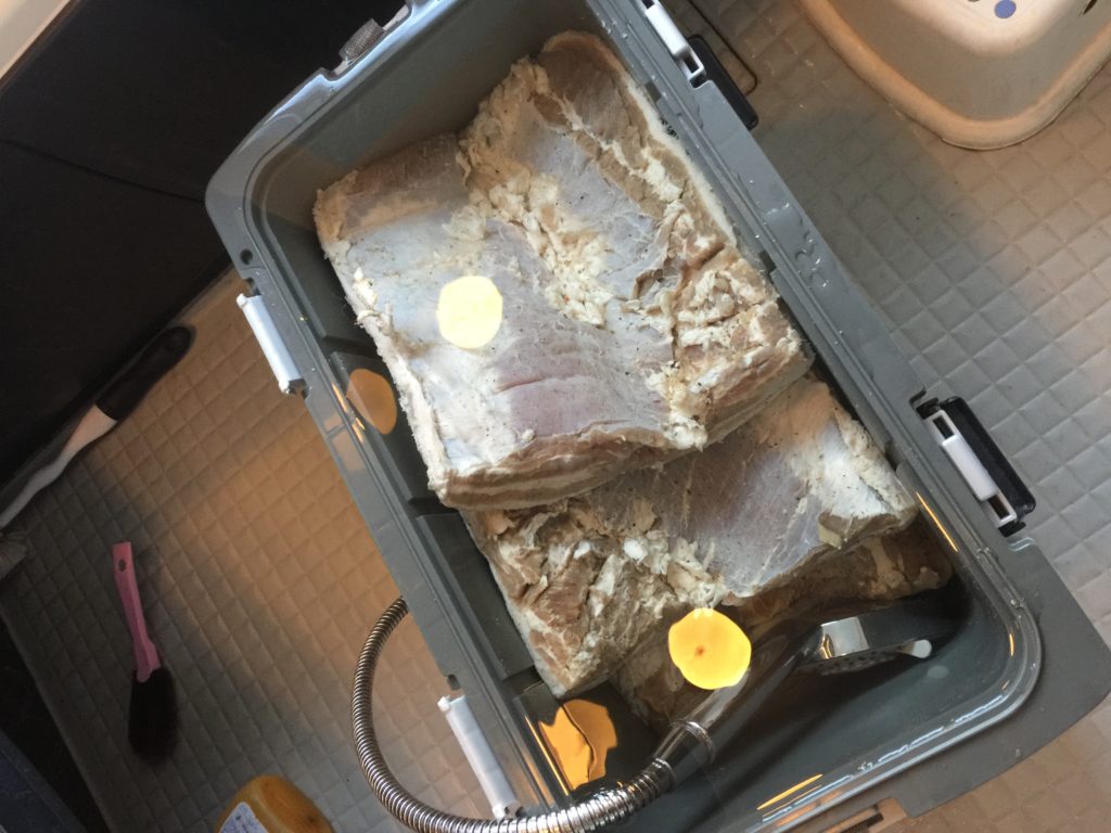 クーラーボックスで塩抜き